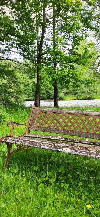 Le Gite De L'Ecurie Forges-la-Foret Dış mekan fotoğraf